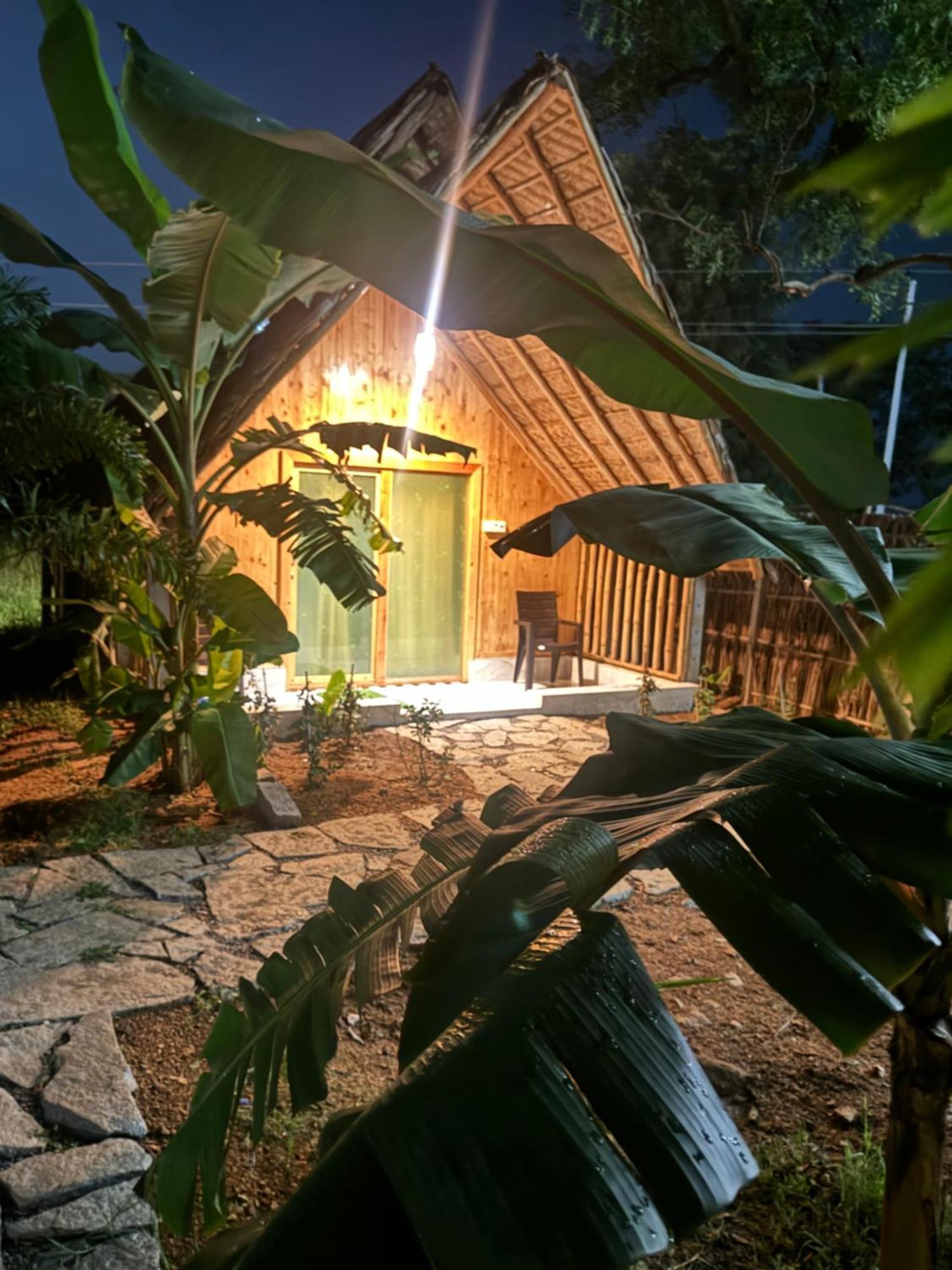 Hill Stone View Hampi酒店 外观 照片